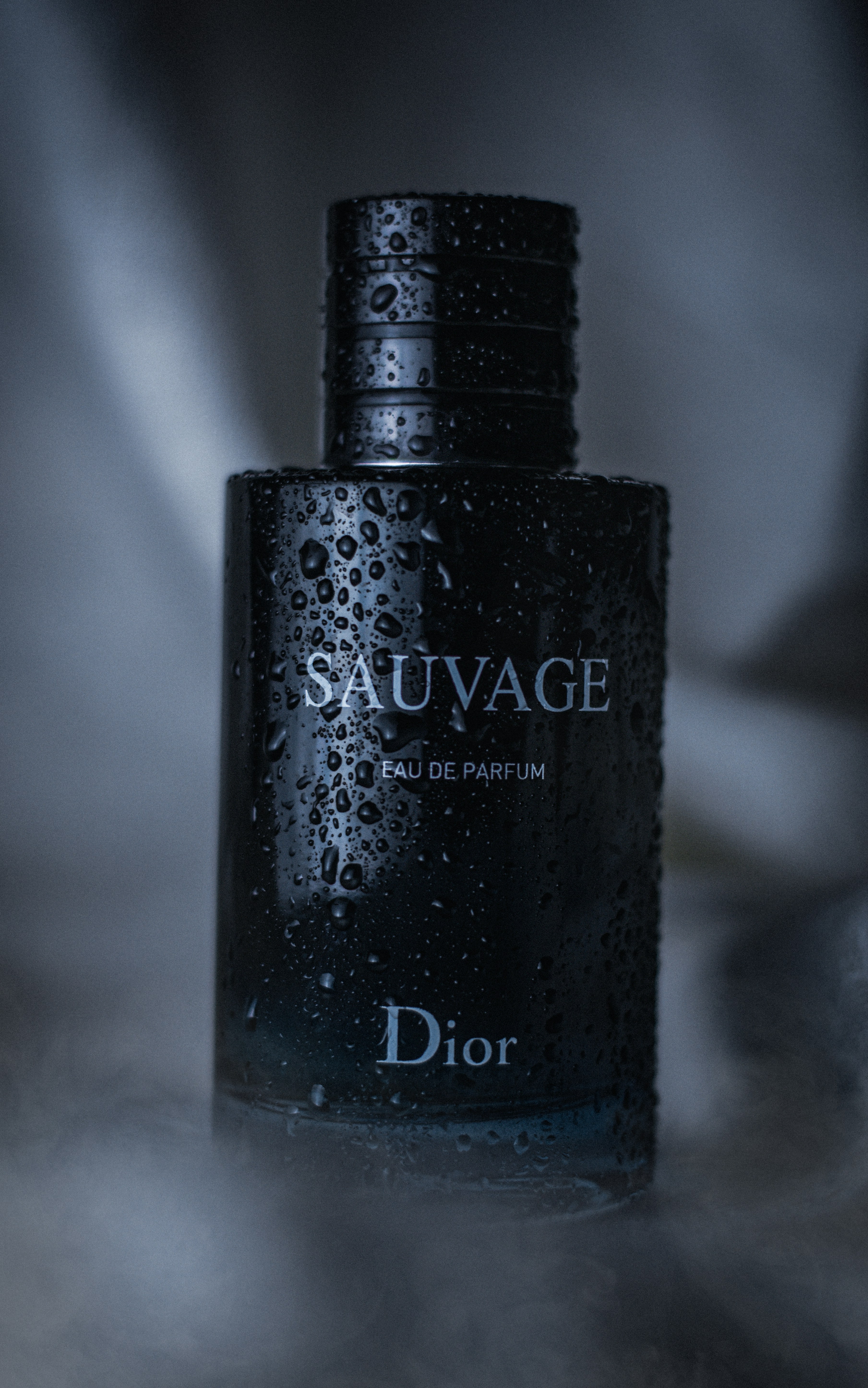 Dior Promotion